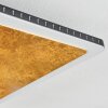 Guacacallo Deckenpanel LED Gold, Schwarz, Weiß, 1-flammig Guacacallo Deckenpanel LED Gold, Schwarz, Weiß, 1-flammig