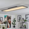 Nabbas Deckenpanel LED Schwarz, Weiß, 1-flammig, Fernbedienung
