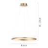 Paul Neuhaus TITUS Pendelleuchte LED Messing, 1-flammig