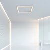 Paul Neuhaus PURE-LINES Deckenleuchte LED Aluminium, 1-flammig, Fernbedienung