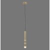 Paul Neuhaus PURE-VEGA Pendelleuchte LED Messing, 3-flammig