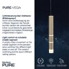 Paul Neuhaus PURE-VEGA Pendelleuchte LED Messing, 9-flammig