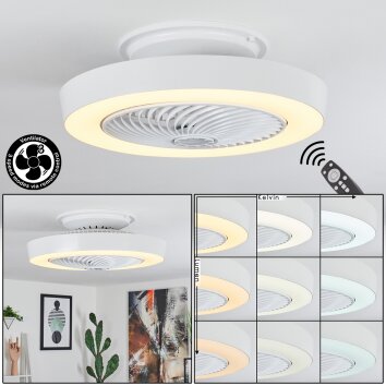 Azenha Deckenventilator LED, 1-flammig, Fernbedienung