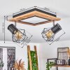 Bardhaman  Deckenleuchte LED Schwarz, 3-flammig