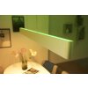 Philips Hue White & Colour Ambiance Ensis Pendelleuchte LED Weiß, 2-flammig, Farbwechsler