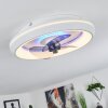 Tirkkala Deckenventilator LED, 1-flammig