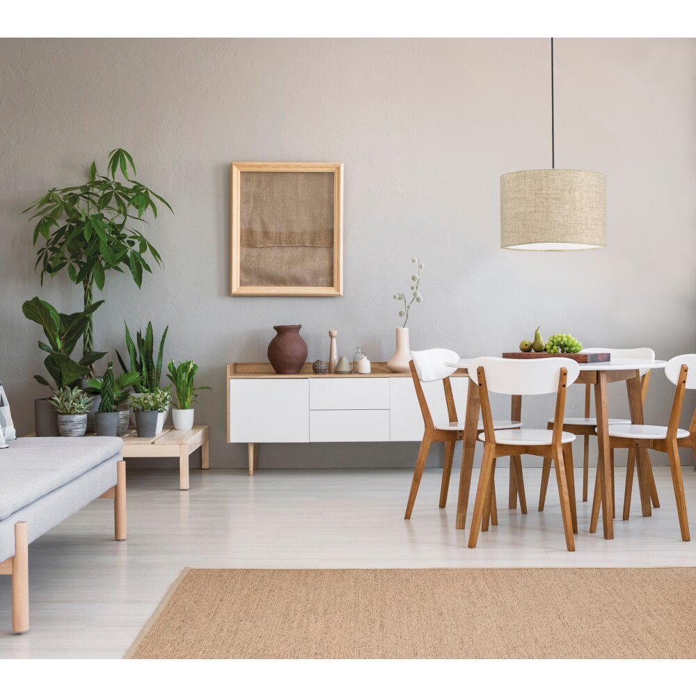 Fischer & Honsel Vigo Hängeleuchte Schwarz, 1-flammig main product photo