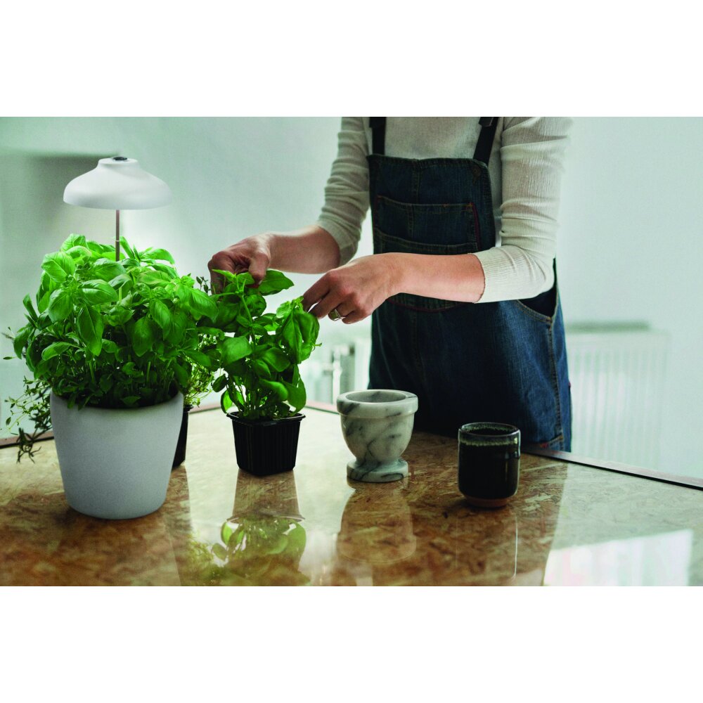 LEDVANCE Indoor Garden Erdspieß Weiß, 1-flammig main product photo