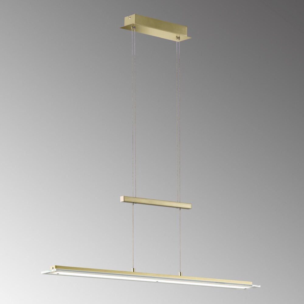 Fischer & Honsel Tenso Pendelleuchte LED Messing, 1-flammig main product photo