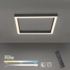 Paul Neuhaus PURE-LINES Deckenleuchte LED Anthrazit, 1-flammig, Fernbedienung Paul Neuhaus PURE-LINES Deckenleuchte LED Anthrazit, 1-flammig, Fernbedienung