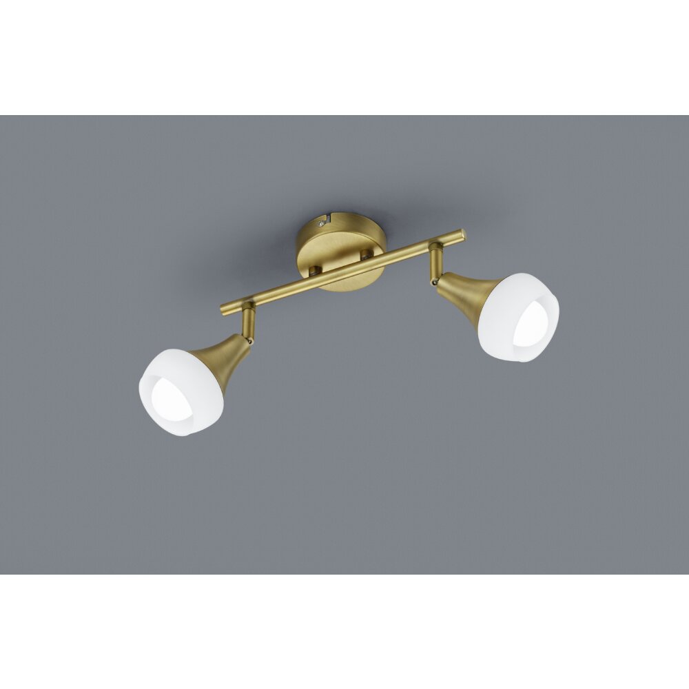 Trio Leuchten TRUMPET Deckenleuchte Messing, 2-flammig main product photo