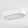 Paleroo Außendeckenleuchte LED Weiß, 1-flammig