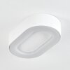 Paleroo Außendeckenleuchte LED Weiß, 1-flammig