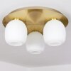 Pintacura   Deckenleuchte Messing, 3-flammig