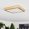 Finsrud Deckenpanel LED Gold, 1-flammig