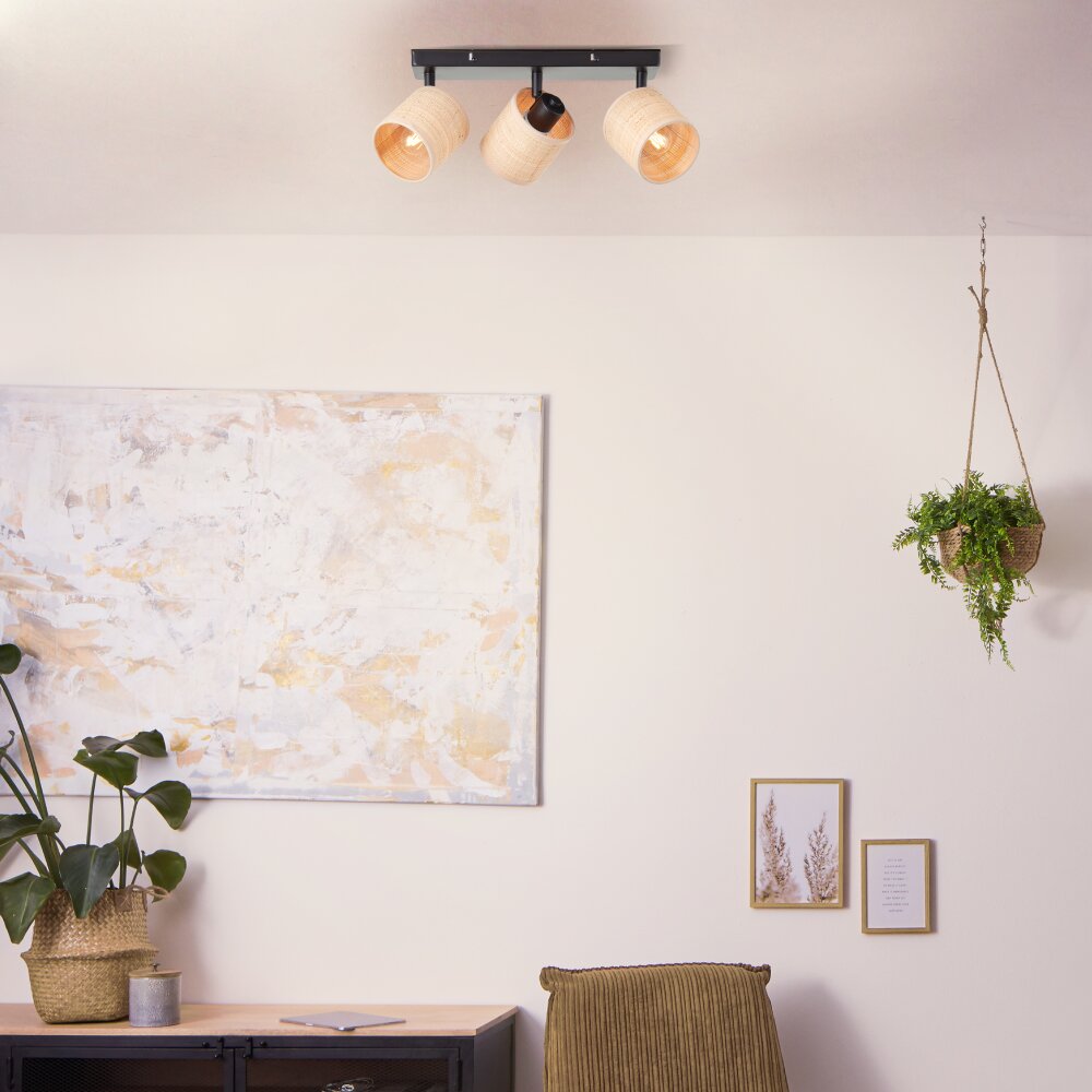 Brilliant Raffy Deckenleuchte Schwarz, 3-flammig main product photo