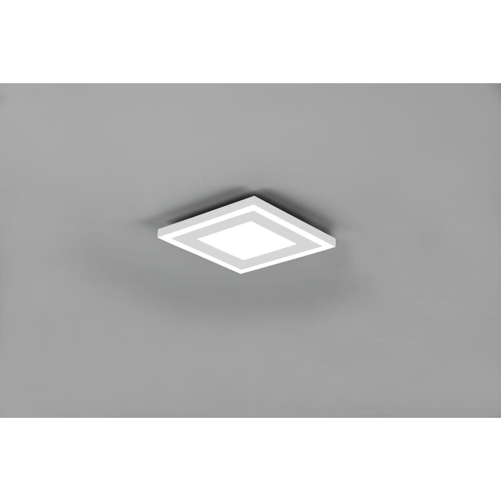 Reality Carus Deckenleuchte LED Weiß, 2-flammig main product photo