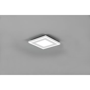 Reality Carus Deckenleuchte LED Weiß, 2-flammig