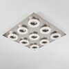 Thiernu Deckenleuchte LED Nickel-Matt, 1-flammig