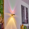 Sapri Wandleuchte Gold, 1-flammig