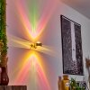 Sapri Wandleuchte Gold, 1-flammig