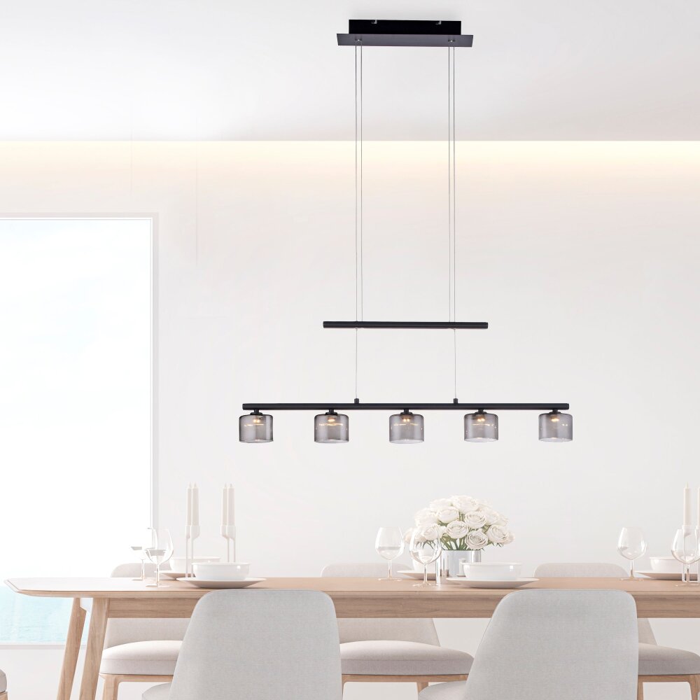 Paul Neuhaus HYDRA Pendelleuchte LED Schwarz, 5-flammig main product photo