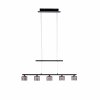 Paul Neuhaus HYDRA Pendelleuchte LED Schwarz, 5-flammig