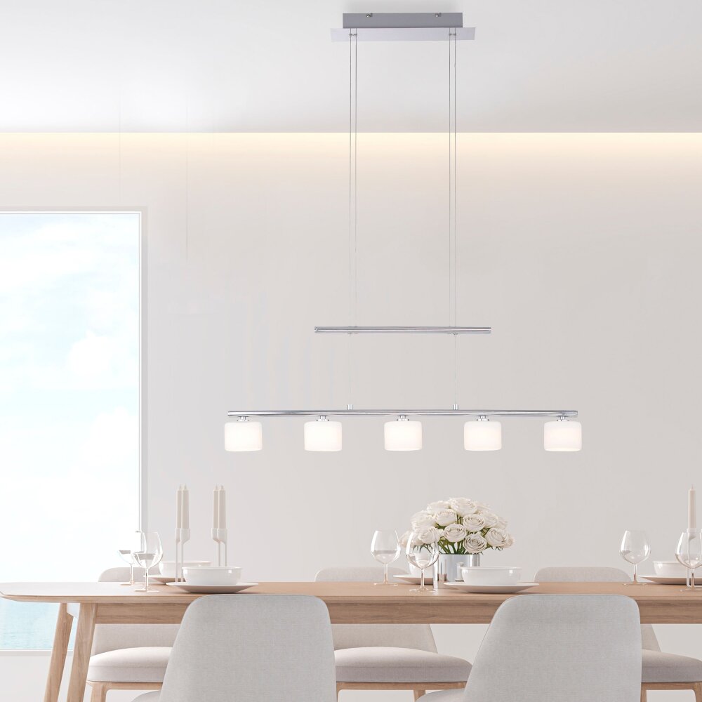 Paul Neuhaus HYDRA Pendelleuchte LED Stahl gebürstet, 5-flammig main product photo