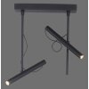 Paul Neuhaus PURE-TUTUA Deckenleuchte LED Schwarz, 2-flammig