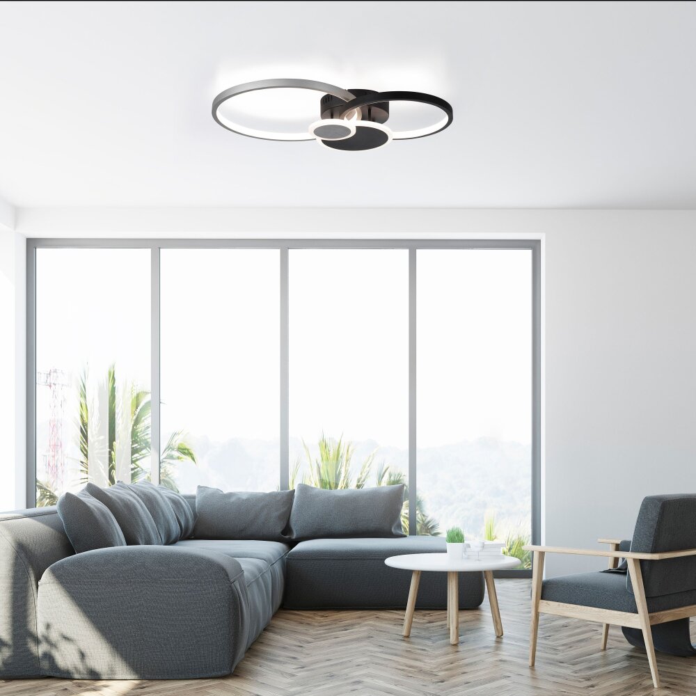 Leuchten Direkt PAPILON Deckenleuchte LED Schwarz, 1-flammig main product photo