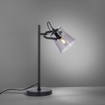 Just Light (Leuchten Direkt) Tischlampen online im Shop bestellen