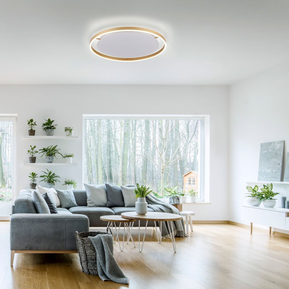 Leuchten Direkt RITUS Deckenleuchte LED Messing, 1-flammig main product photo