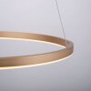 Leuchten Direkt RITUS Hängeleuchte LED Messing, 1-flammig