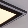 Audrieu Deckenpanel LED Schwarz, 2-flammig