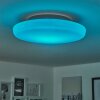Ral Deckenleuchte LED Silber, Weiß, 1-flammig, Fernbedienung, Farbwechsler