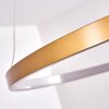 Canisteo Hängeleuchte LED Gold, 1-flammig