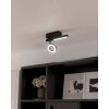 Eglo CARDILLIO Deckenleuchte LED Schwarz, 2-flammig