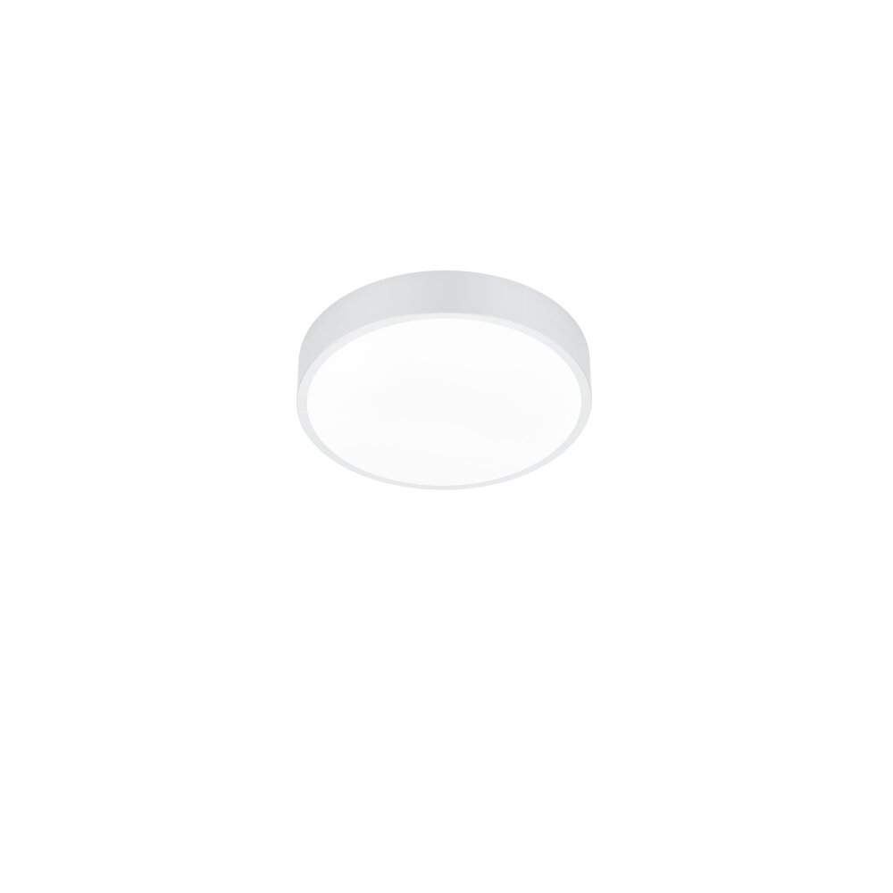 Trio Waco Deckenleuchte LED Weiß, 1-flammig main product photo