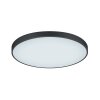 Trio Waco Deckenleuchte LED Schwarz, 2-flammig