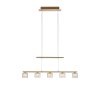 Paul Neuhaus HYDRA Pendelleuchte LED Messing, 5-flammig
