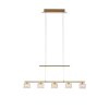 Paul Neuhaus HYDRA Pendelleuchte LED Messing, 5-flammig