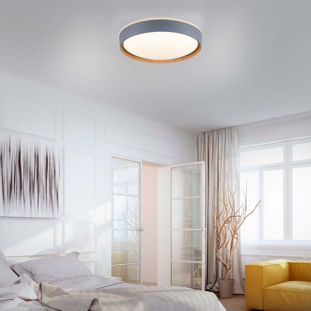 Paul Neuhaus Q-EMILIA Deckenleuchte LED Grau, Holzoptik, 1-flammig, Fernbedienung main product photo