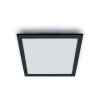Philips WiZ Deckenpanel LED Schwarz, 1-flammig