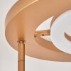 Kimba Deckenfluter LED Gold, 3-flammig