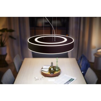Philips Hue Enrave Pendelleuchte LED Schwarz, 1-flammig, Fernbedienung