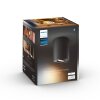 Philips Hue Pillar Deckenleuchte LED Schwarz, 1-flammig