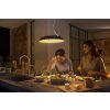 Philips Hue Amaze Pendelleuchte LED Schwarz, 1-flammig, Fernbedienung