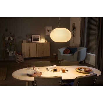 Philips Hue Flourish Pendelleuchte LED Weiß, 1-flammig, Farbwechsler