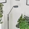 Huallilemu Stehleuchte LED Anthrazit, 1-flammig