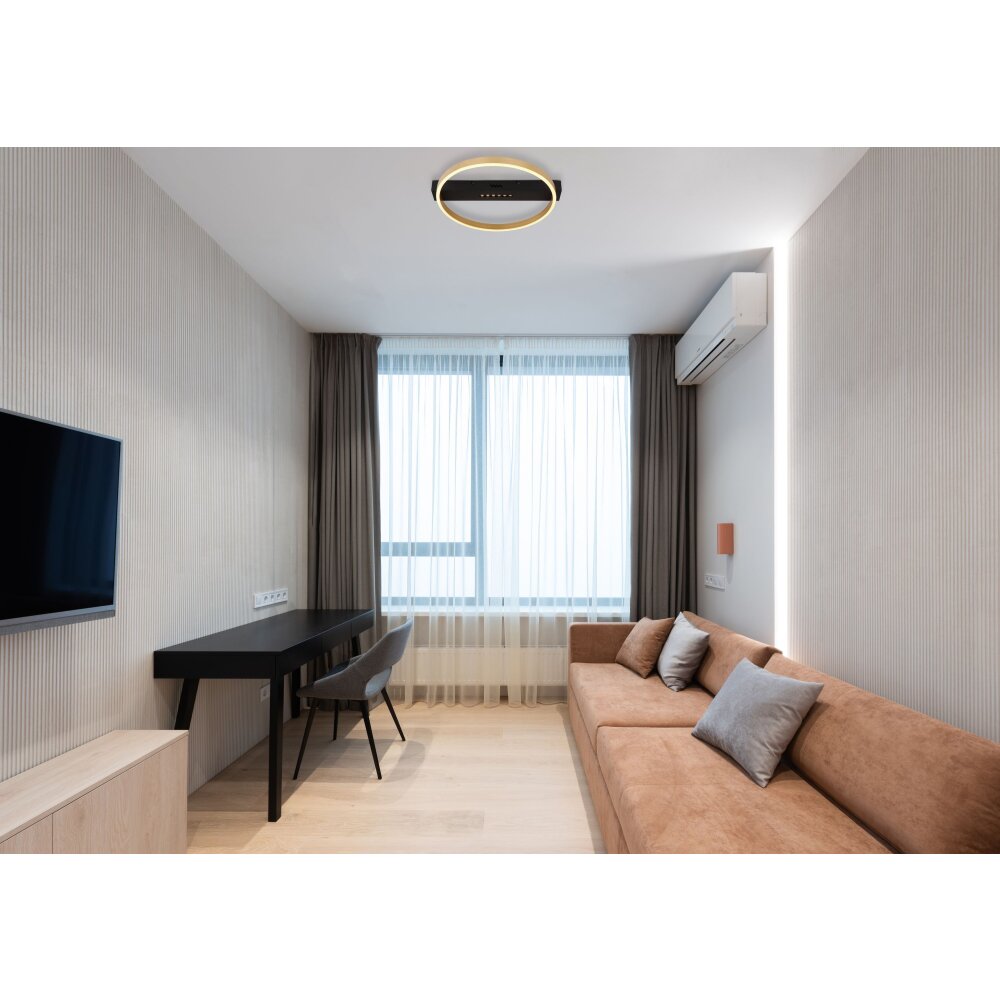 Globo LUFFY Deckenleuchte LED Gold, Schwarz, 1-flammig main product photo